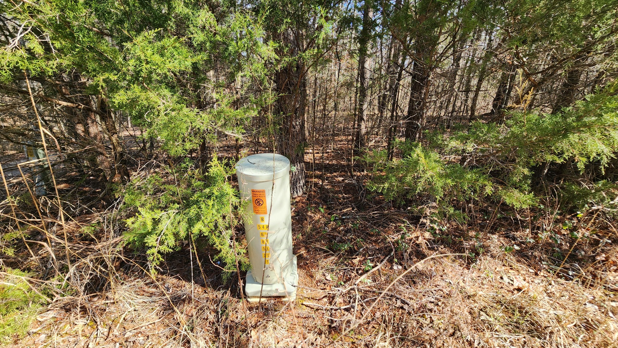 0 Simmons Cemetery Road Quebeck, TN 38579 - Photo 6 of 23