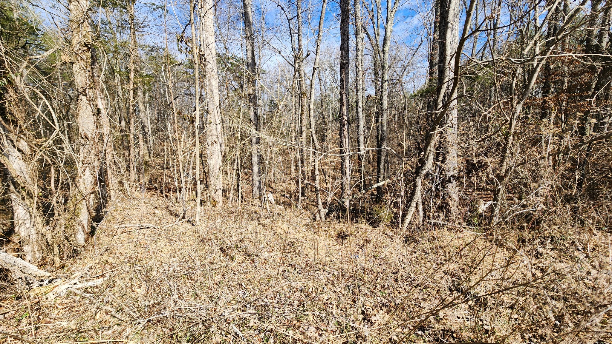 0 Simmons Cemetery Road Quebeck, TN 38579 - Photo 10 of 23