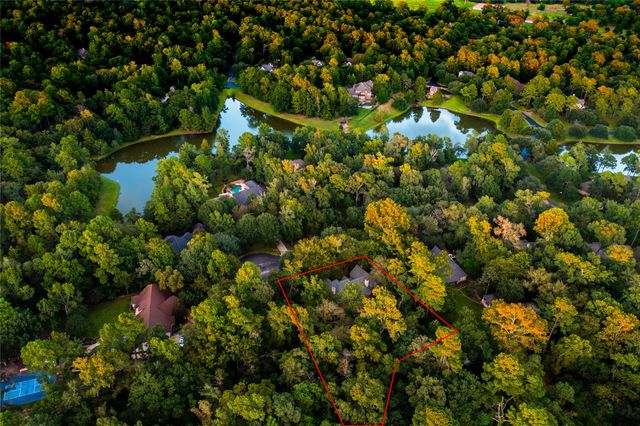 a view of road with large trees