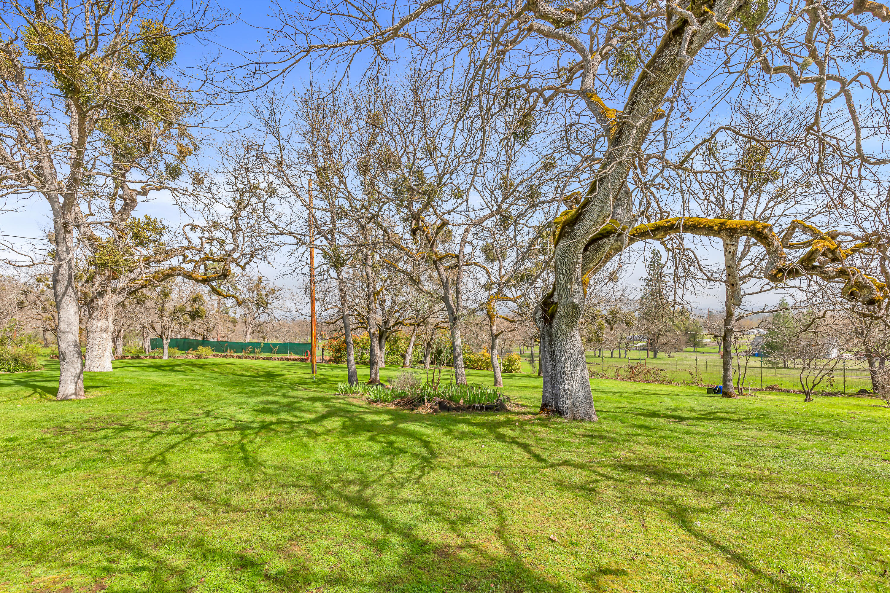 349 Capri Drive Eagle Point, OR 97524 - Photo 9 of 54 9R9A7626