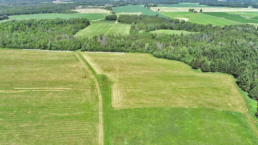 Lot 7 Drews Lake Road Houlton, ME 04730 - Photo 2 of 34 farm-land-woodlot-maine