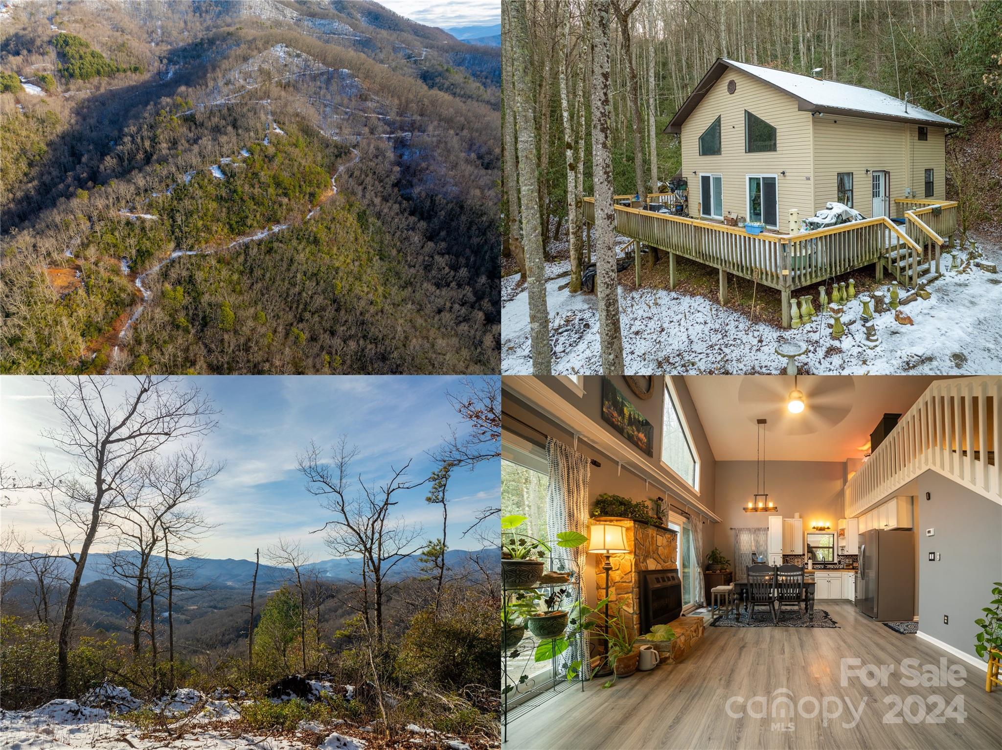 1580 Firefly Road Whittier, NC 28789 - Photo 1 of 37 Gallery Image 1