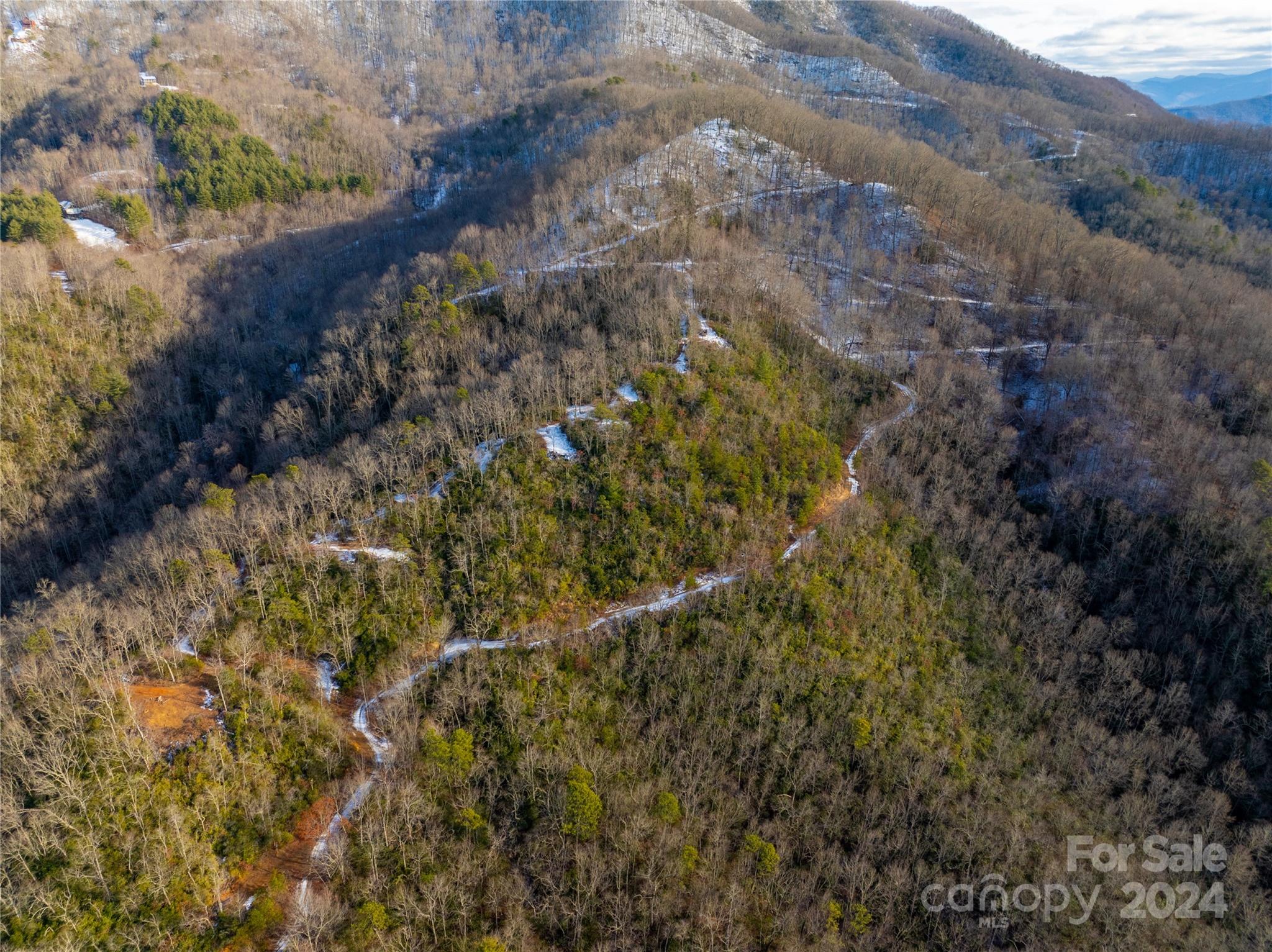 1580 Firefly Road Whittier, NC 28789 - Photo 27 of 37 Gallery Image 27