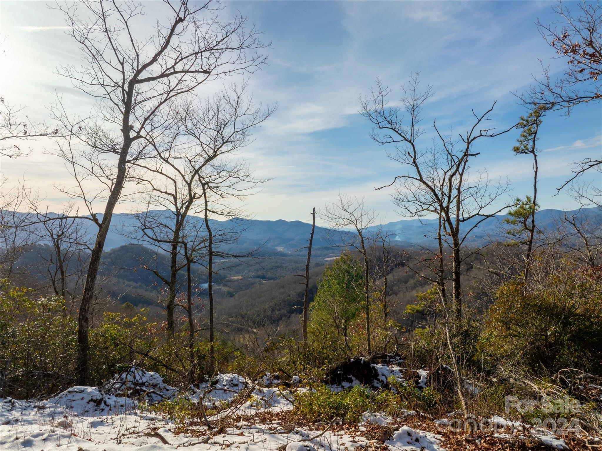 1580 Firefly Road Whittier, NC 28789 - Photo 3 of 37 Gallery Image 3
