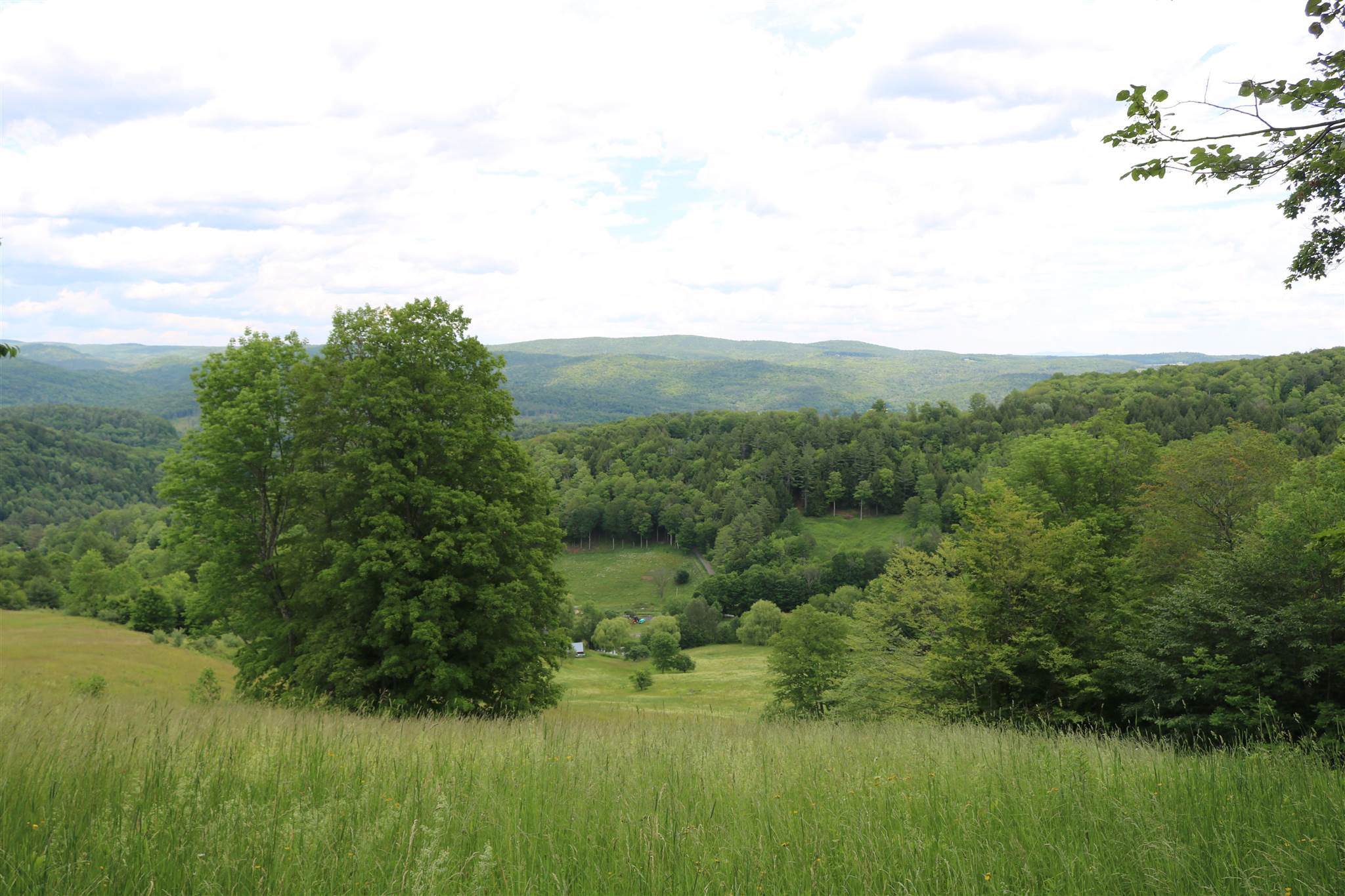 261 Starbuck Road Pomfret, VT 05084 - Photo 26 of 27