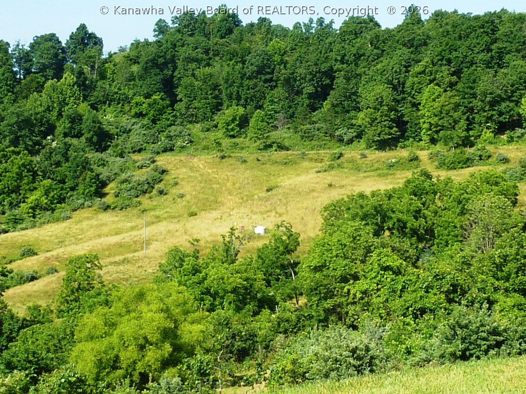 0 Puckett Ridge Road Ripley, WV 25271 - Photo 4 of 12 Gallery Image 4