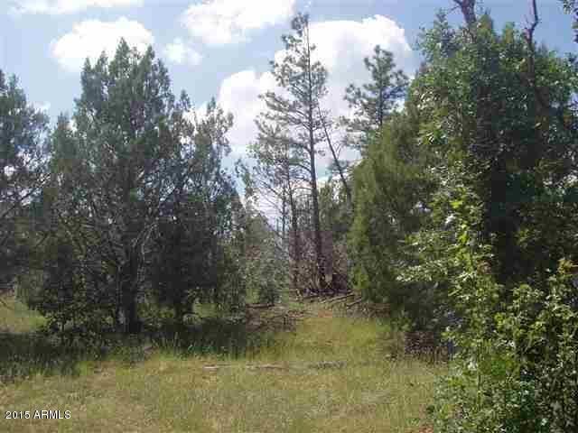 pinedale land6