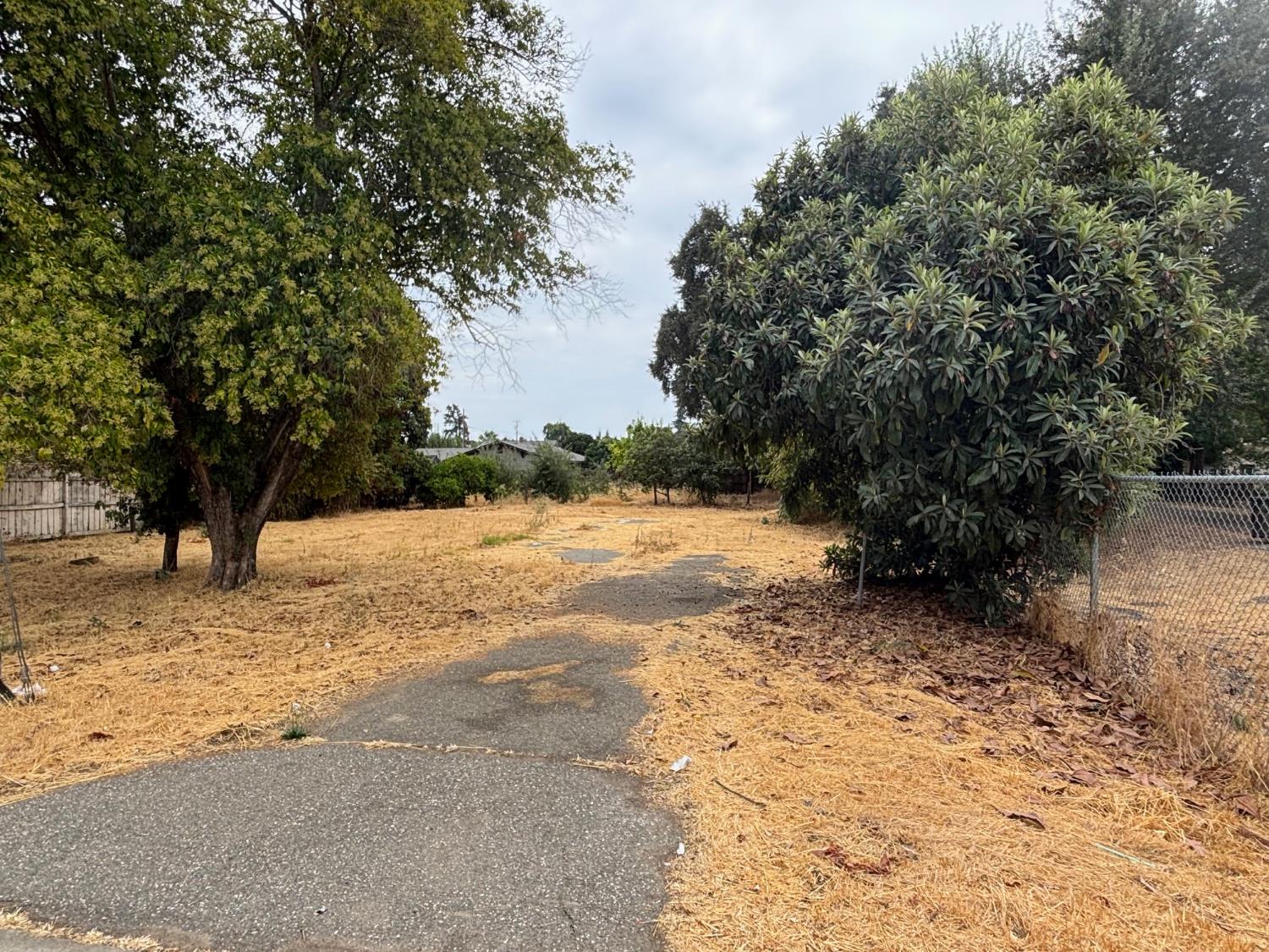 a view of yard covered with snow in outdoor space
