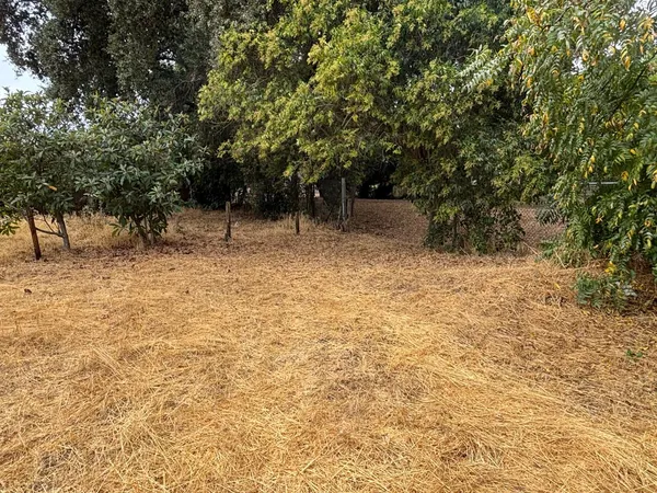 a view of backyard with trees
