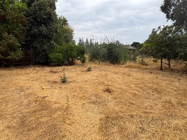 a view of empty room with trees