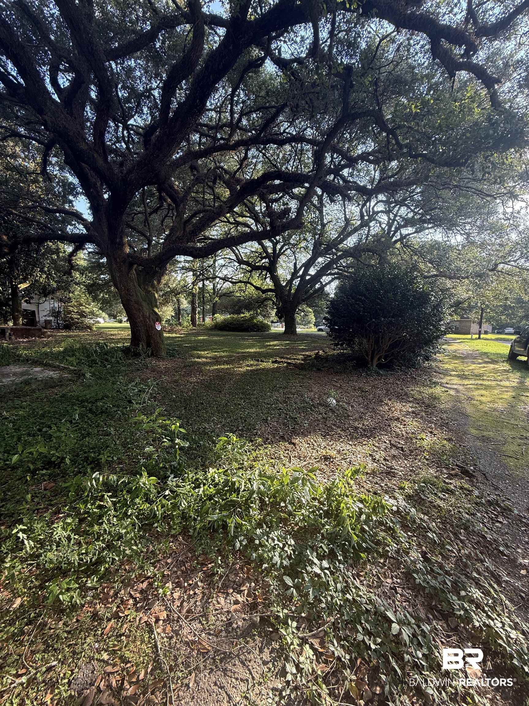 759 Sue Lane Mobile, AL 36693 - Photo 3 of 7