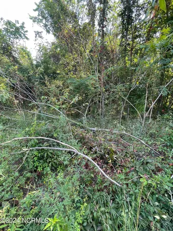 $9,000 | 103 Kickapoo Trail, Edenton, NC 27932