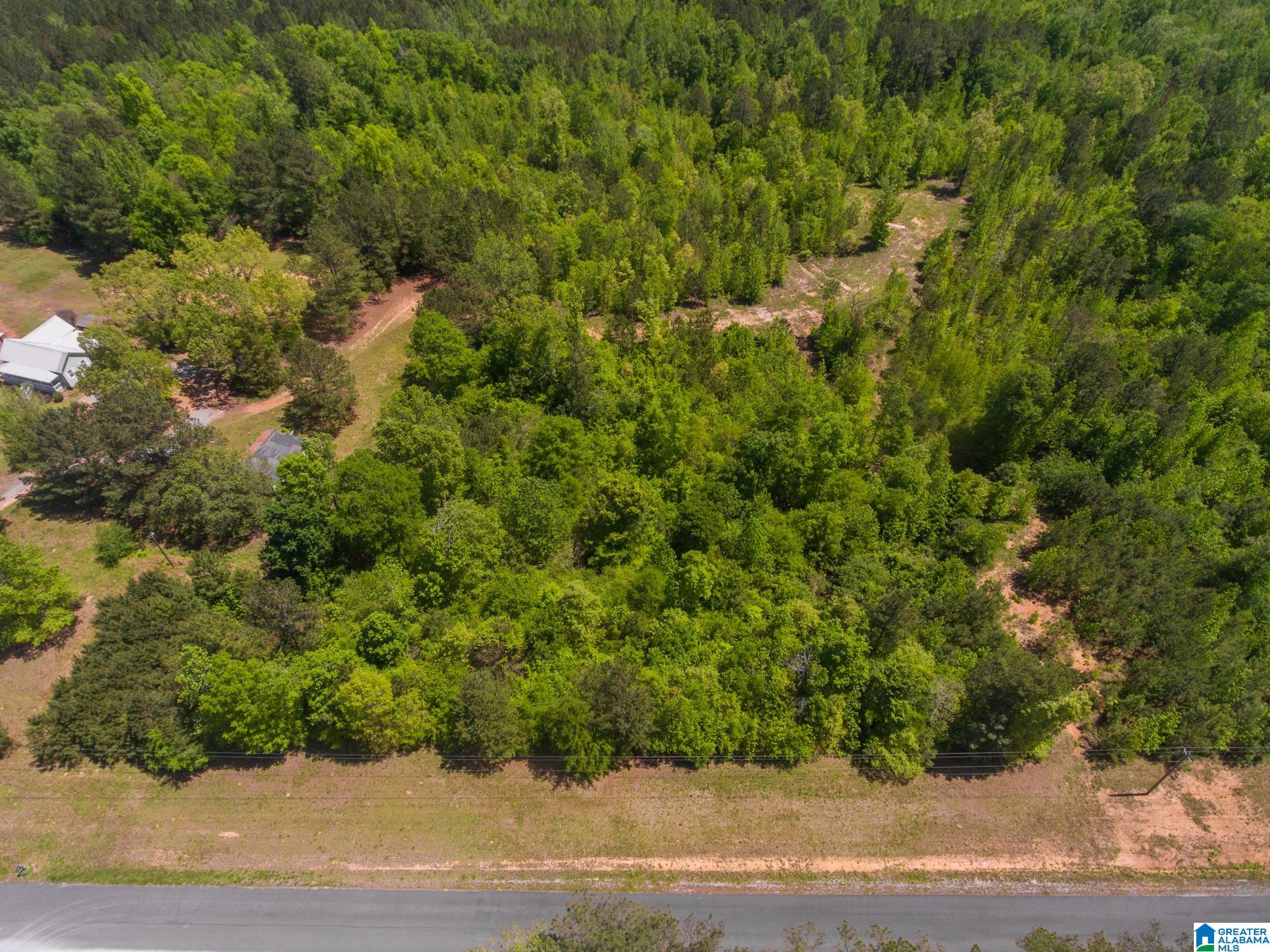 1326 Pine Ridge Road Wellington, AL 36279 - Photo 10 of 15