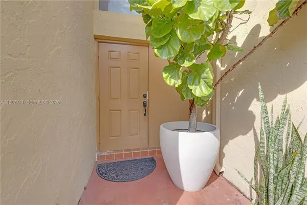a view of a potted plant in a room