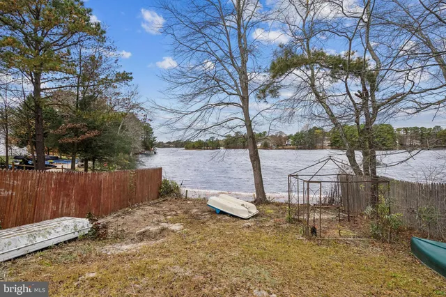 a view of a backyard with large trees