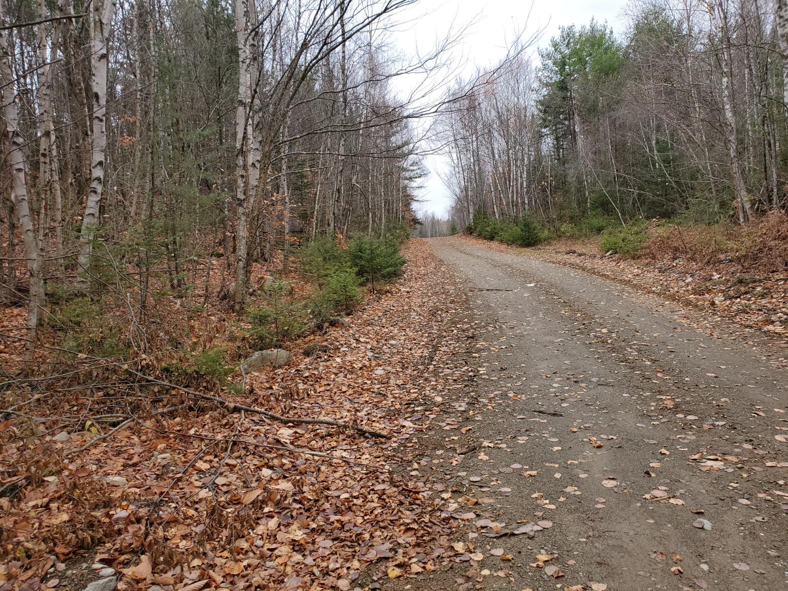Lot 105 Freedom Way Springfield, ME 04487 - Photo 6 of 8 20201029_105328