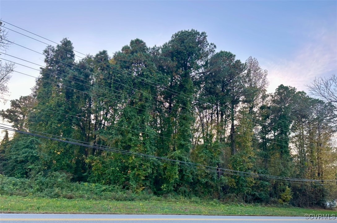 16510 Harrowgate Road Chester, VA 23831 - Photo 3 of 4 a view of a lush green forest
