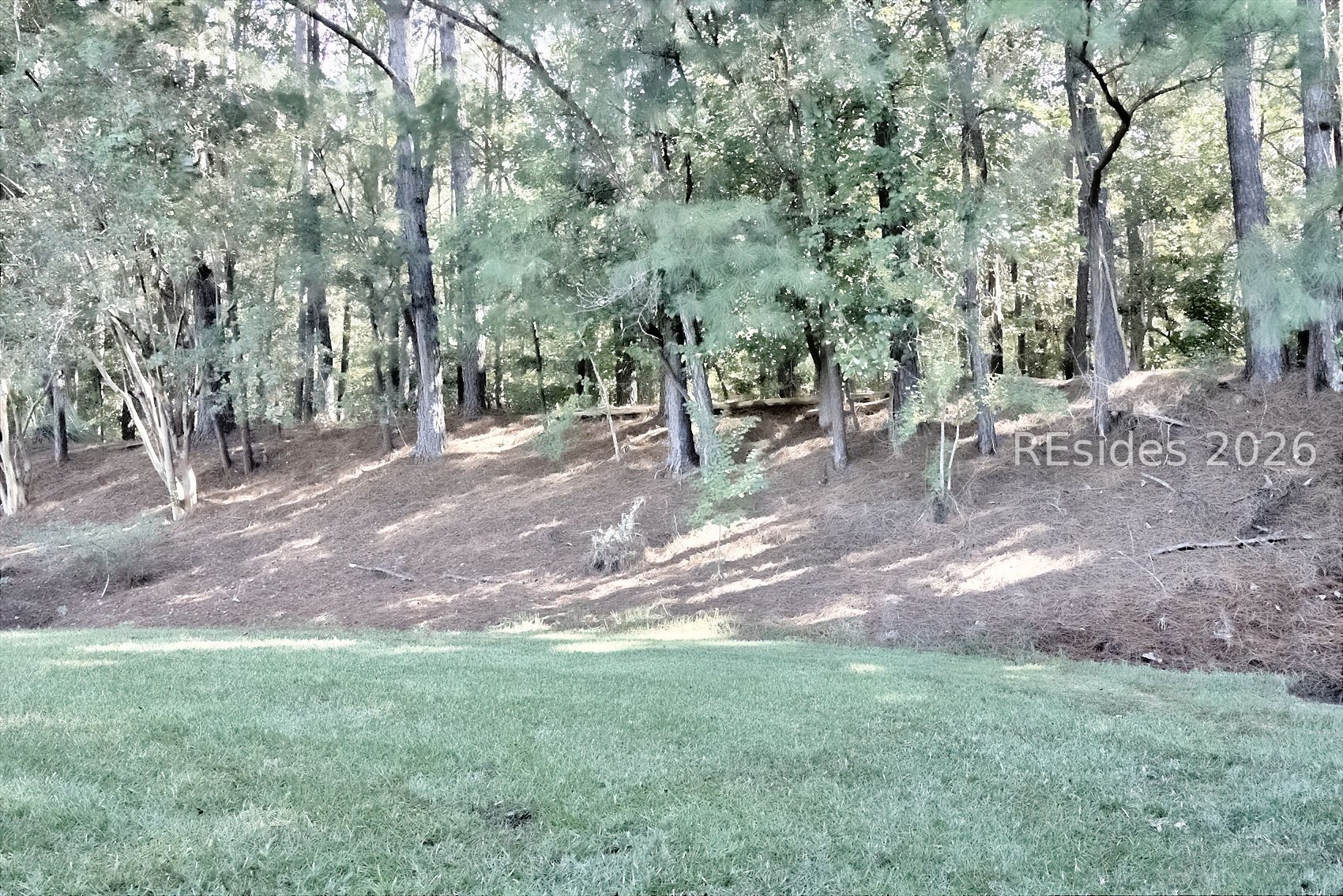 279 Mystic Point Drive Bluffton, SC 29909 - Photo 19 of 19