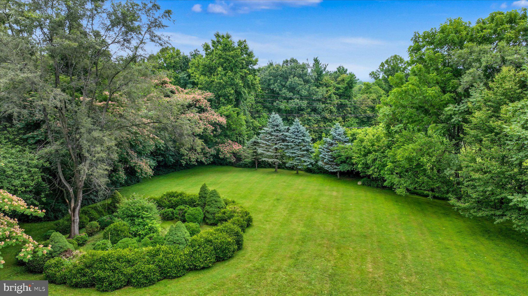 6739 South Clifton Road Frederick, MD 21703 - Photo 3 of 53 Lush green oasis with vibrant trees.