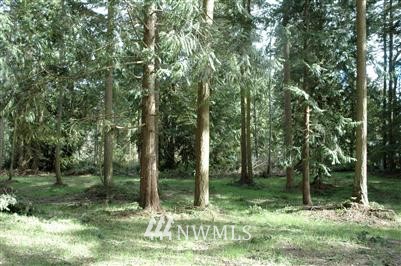 82 Cape George Road Port Townsend, WA 98368 - Photo 1 of 1 Gallery Image 1