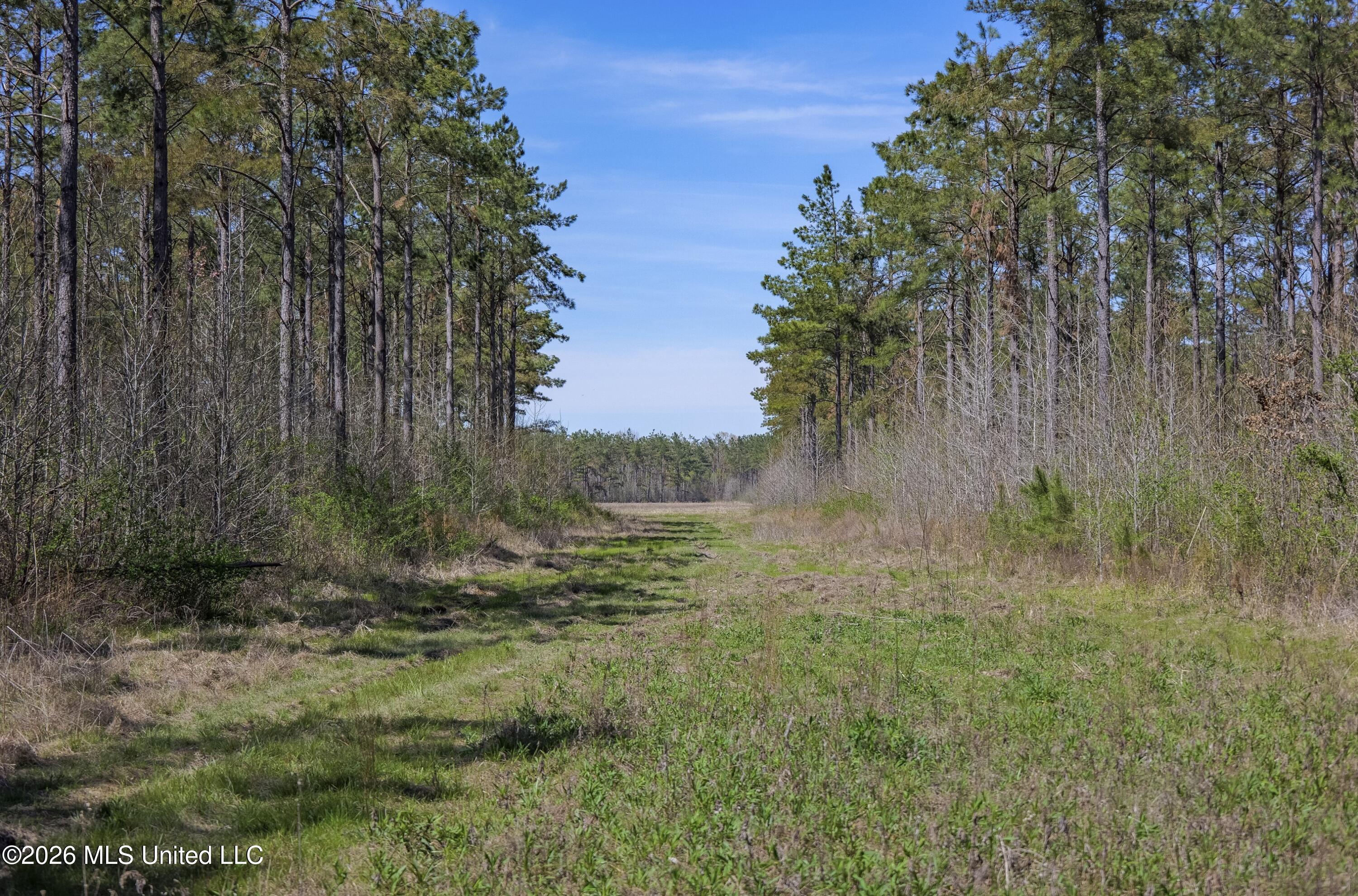 Wise Bend Road Thaxton, MS 38871 - Photo 19 of 22 12