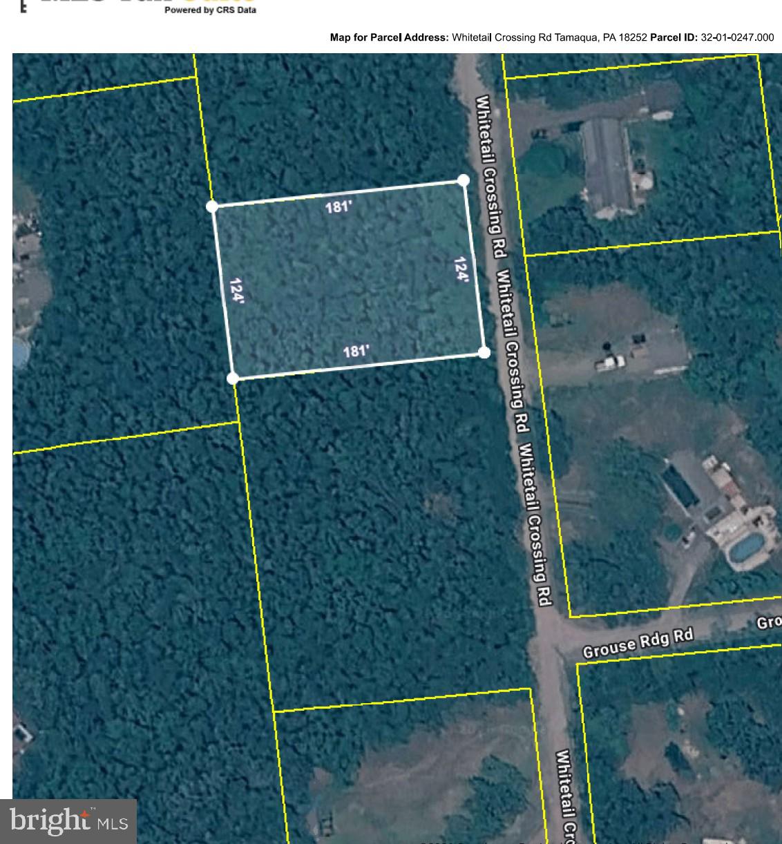 247 Whitetail Road Tamaqua, PA 18252 - Photo 13 of 13 Prime wooded lot for your dream home.