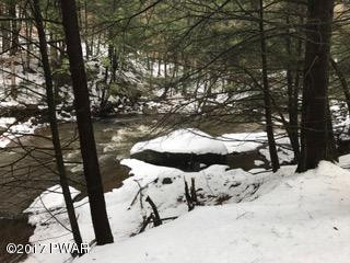 Davis Road Beach Lake, PA 18405 - Photo 22 of 22