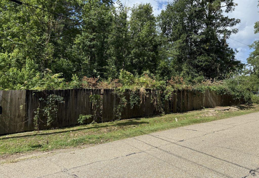 0 Symphony Lane Albany, LA 70711 - Photo 1 of 1