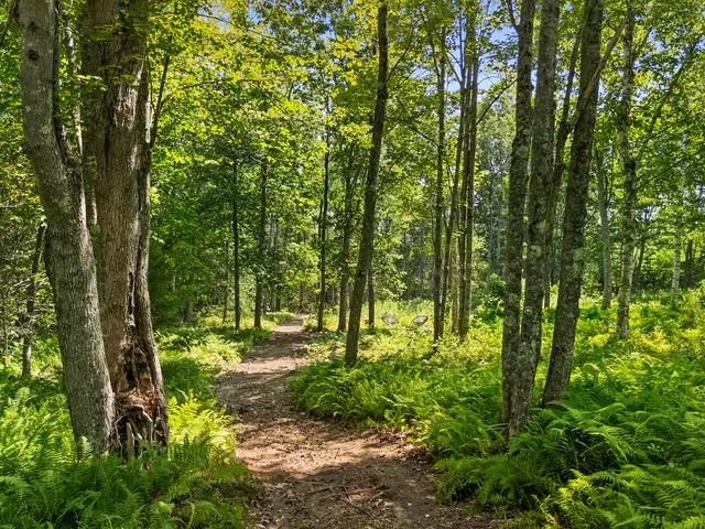 $1,375,000 | 38 Osprey Reach Road, Stockton Springs, ME 04981