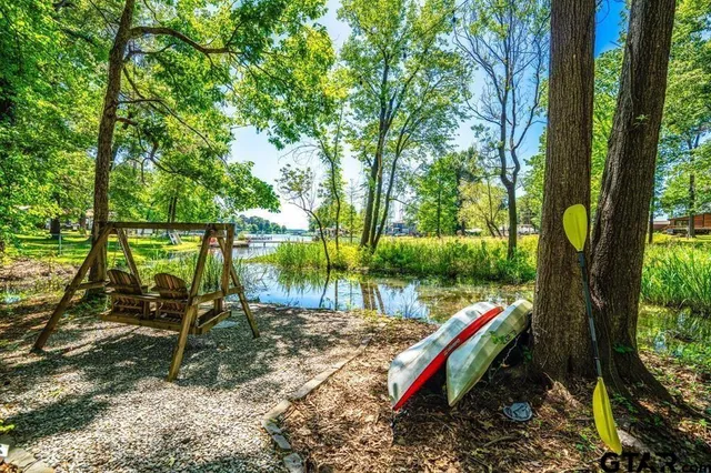 a view of a park with large trees