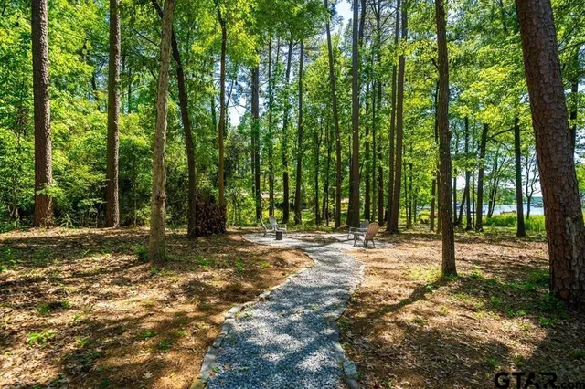 a view of a yard with tree s