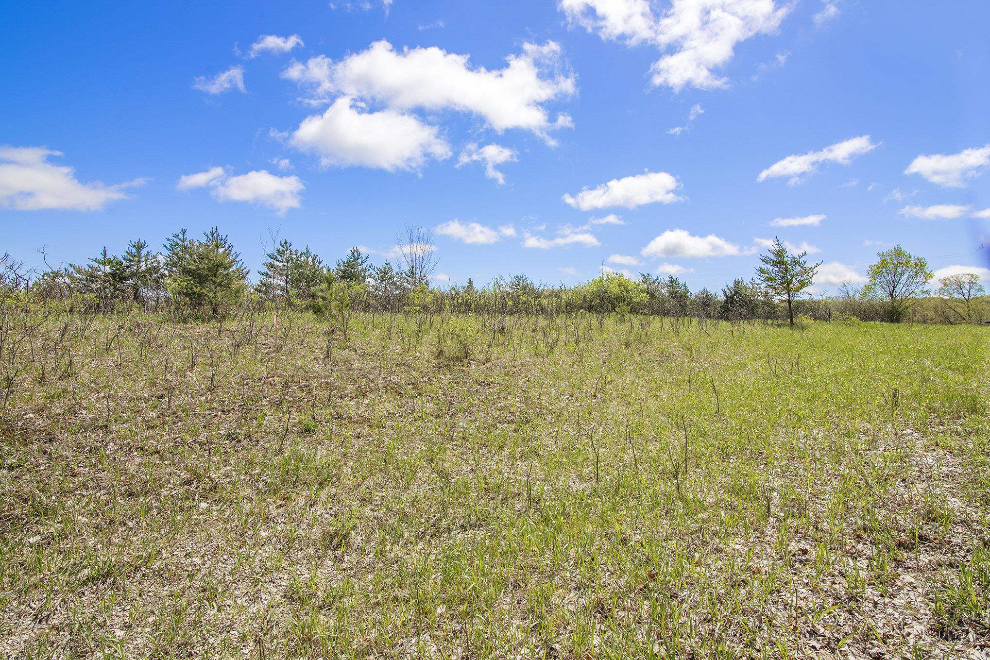 2 North 9th Road Mesick, MI 49668 - Photo 9 of 9