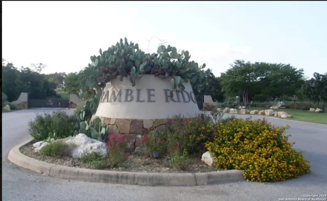 a view of a bird bath