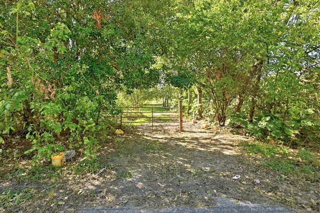 a view of yard with green space