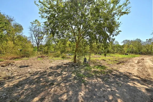 a view of yard with trees
