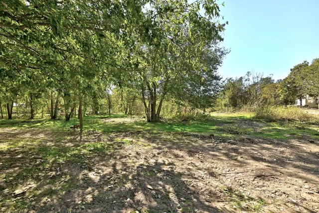 a view of outdoor space with trees