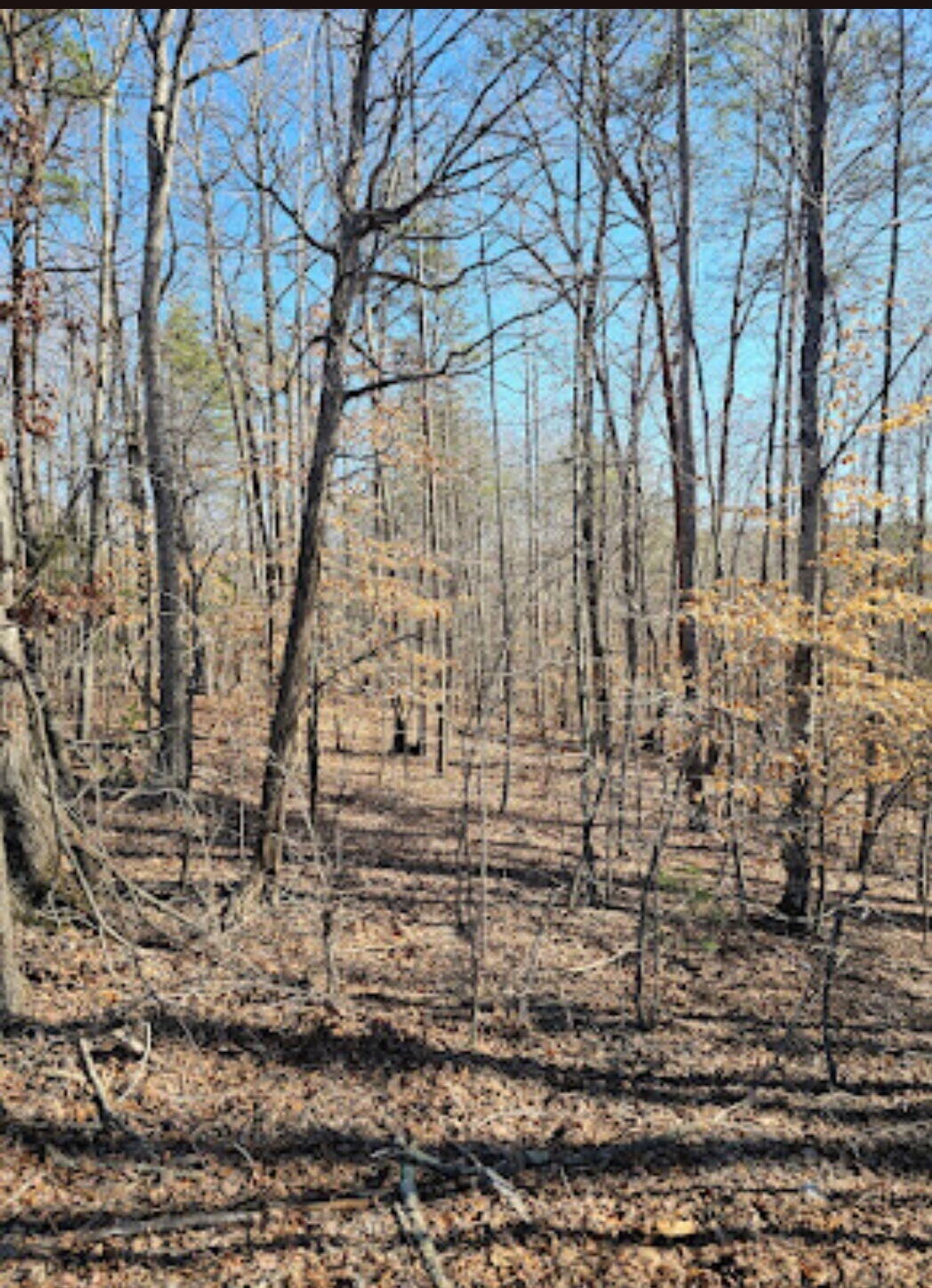 4 B Red Oak Road Martinsville, VA 24112 - Photo 3 of 3 IMG_20250210_105107