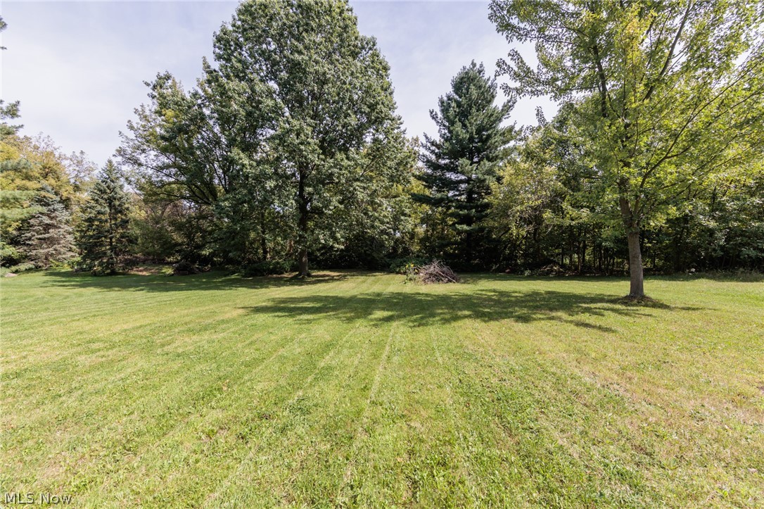 6065 Avon Belden Road North Ridgeville, OH 44039 - Photo 3 of 25 Expansive green lawn with mature trees and natural landscaping