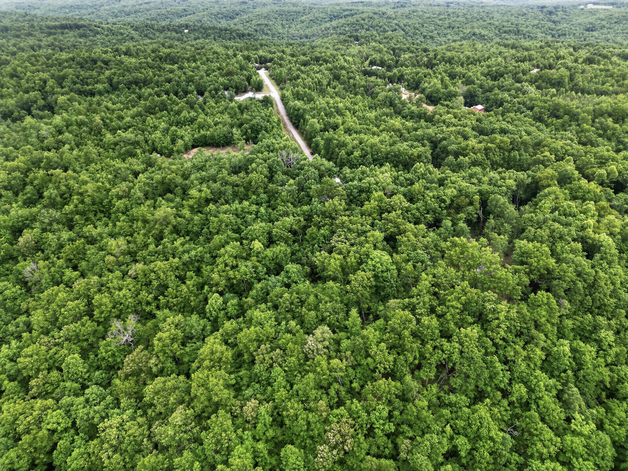 55214 Maynard Ridge Lane Crawford, TN 38554 - Photo 28 of 32 a view of a yard