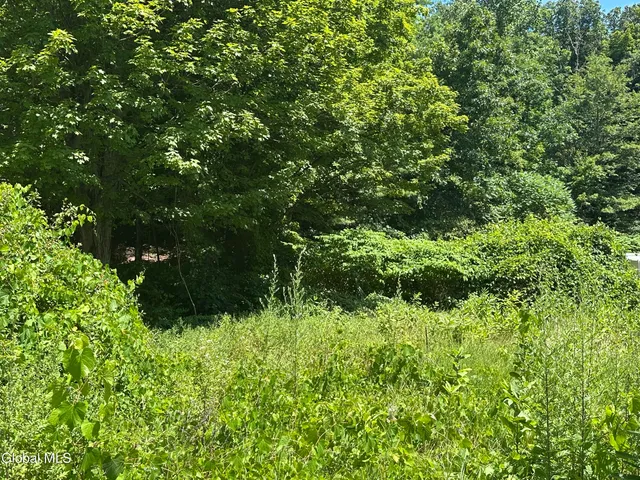 $77,000 | L30 Rt 9 Lake, Lake George, NY 12845