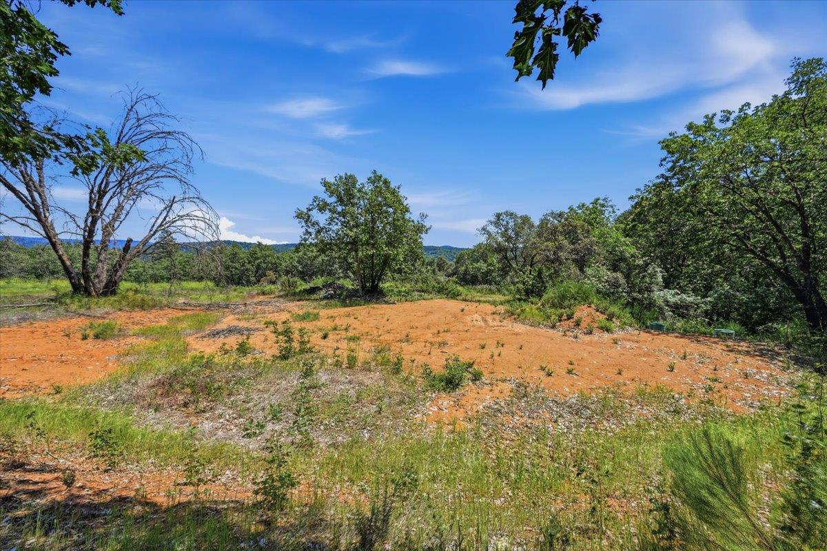 20154 Sky Ridge Place Nevada City, CA 95959 - Photo 15 of 20 a view of a yard with a tree