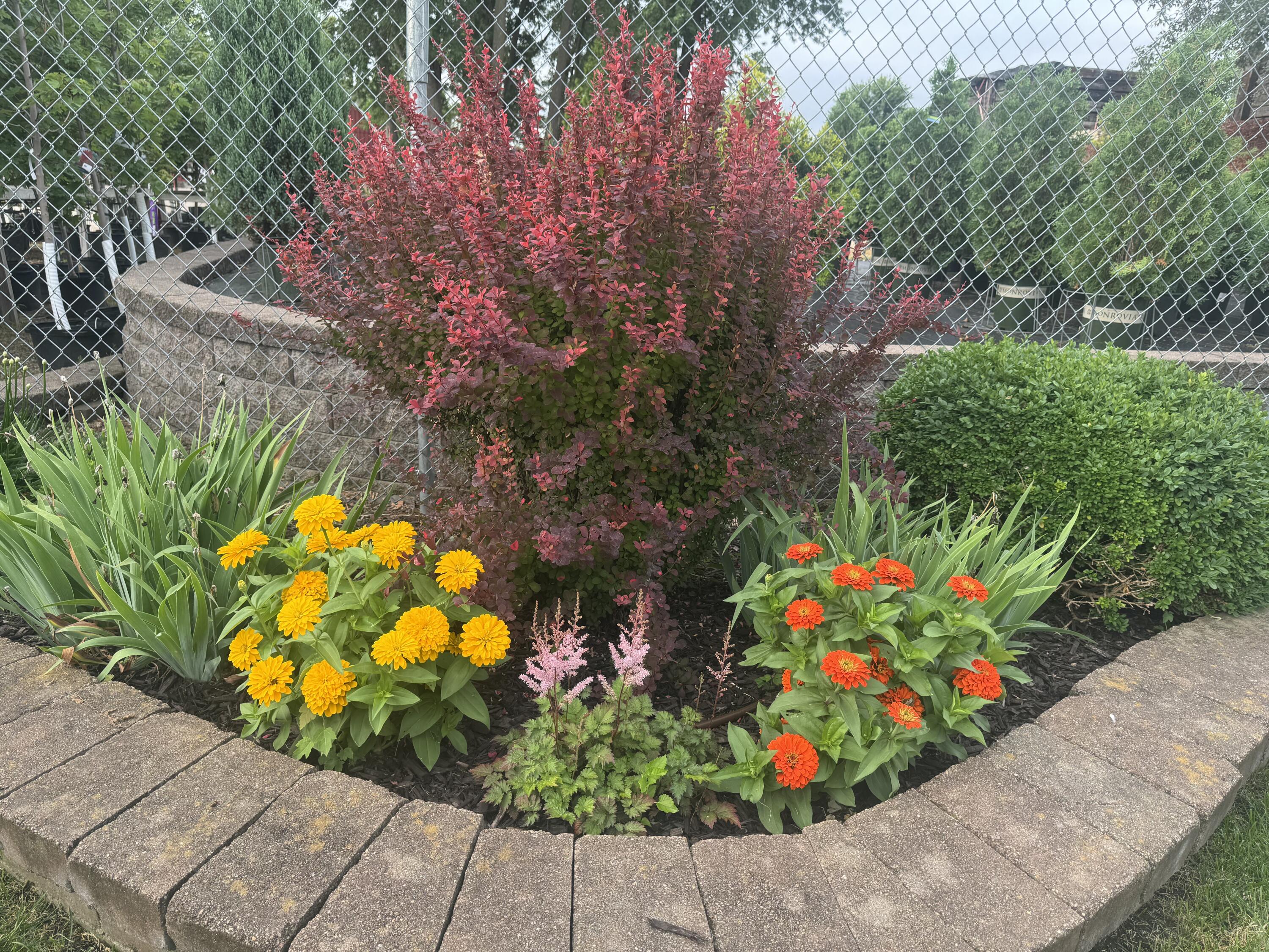 308 Grant Street Holmen, WI 54636 - Photo 47 of 55 Backyard in bloom
