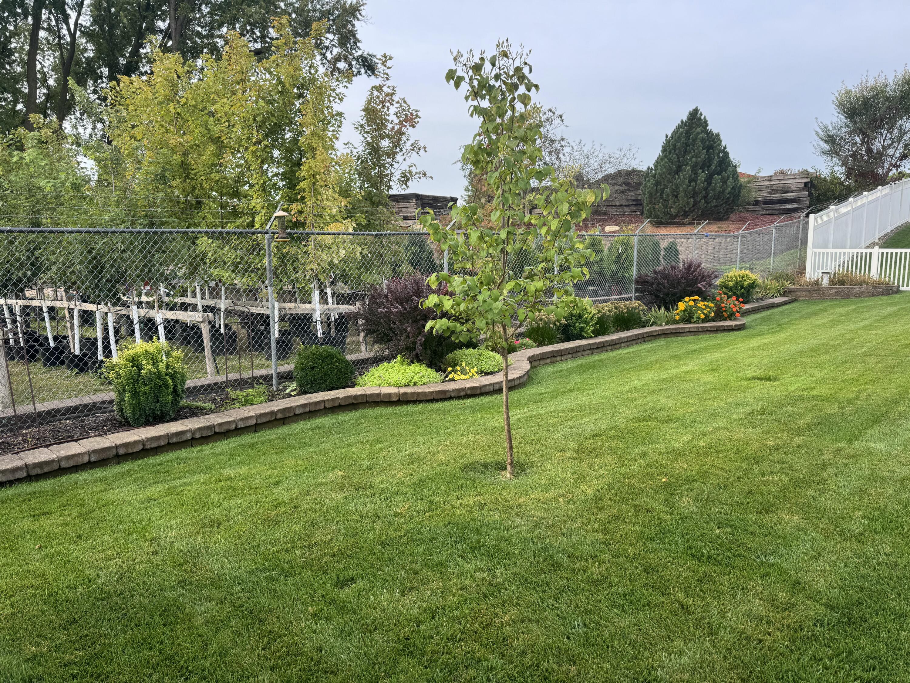 308 Grant Street Holmen, WI 54636 - Photo 48 of 55 back yard