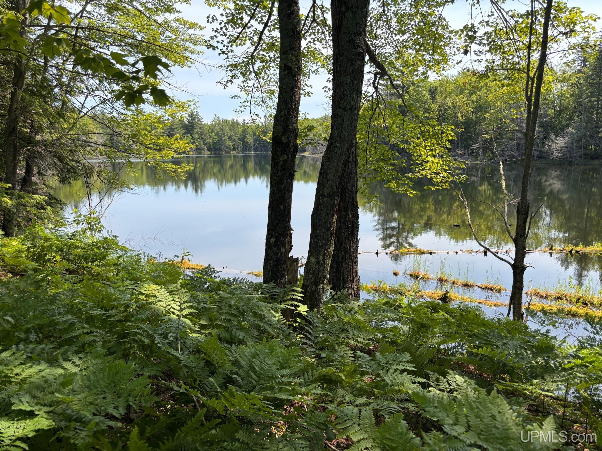 Horseshoe Lake Road Toivola, MI 49965 - Photo 65 of 70 Gallery Image 65