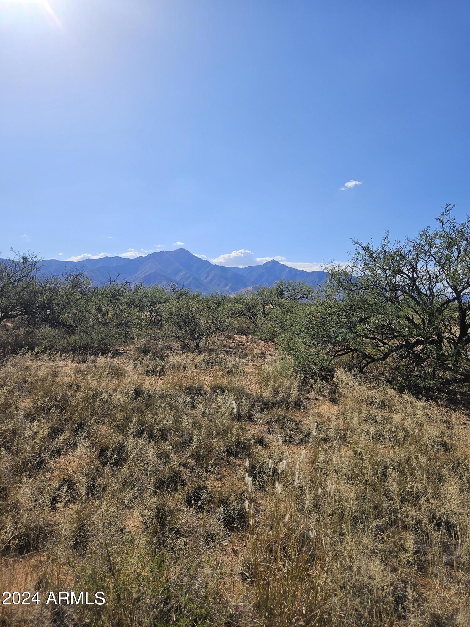 7.27 East Three Canyons Road, Unit G Hereford, AZ 85615 - Photo 10 of 12 20241001_150023