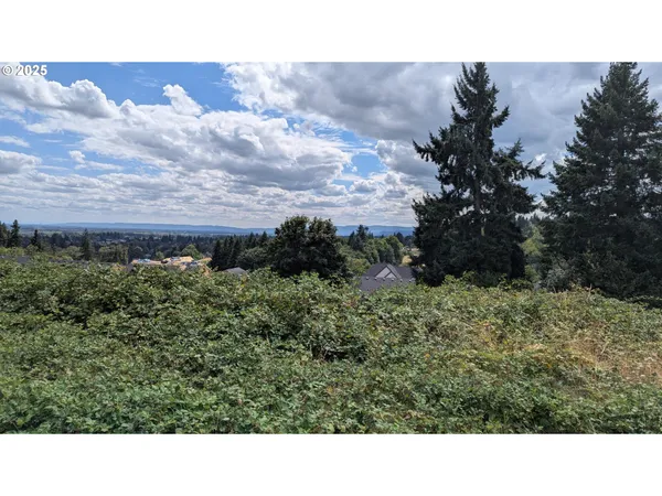 a black and white photo of a house
