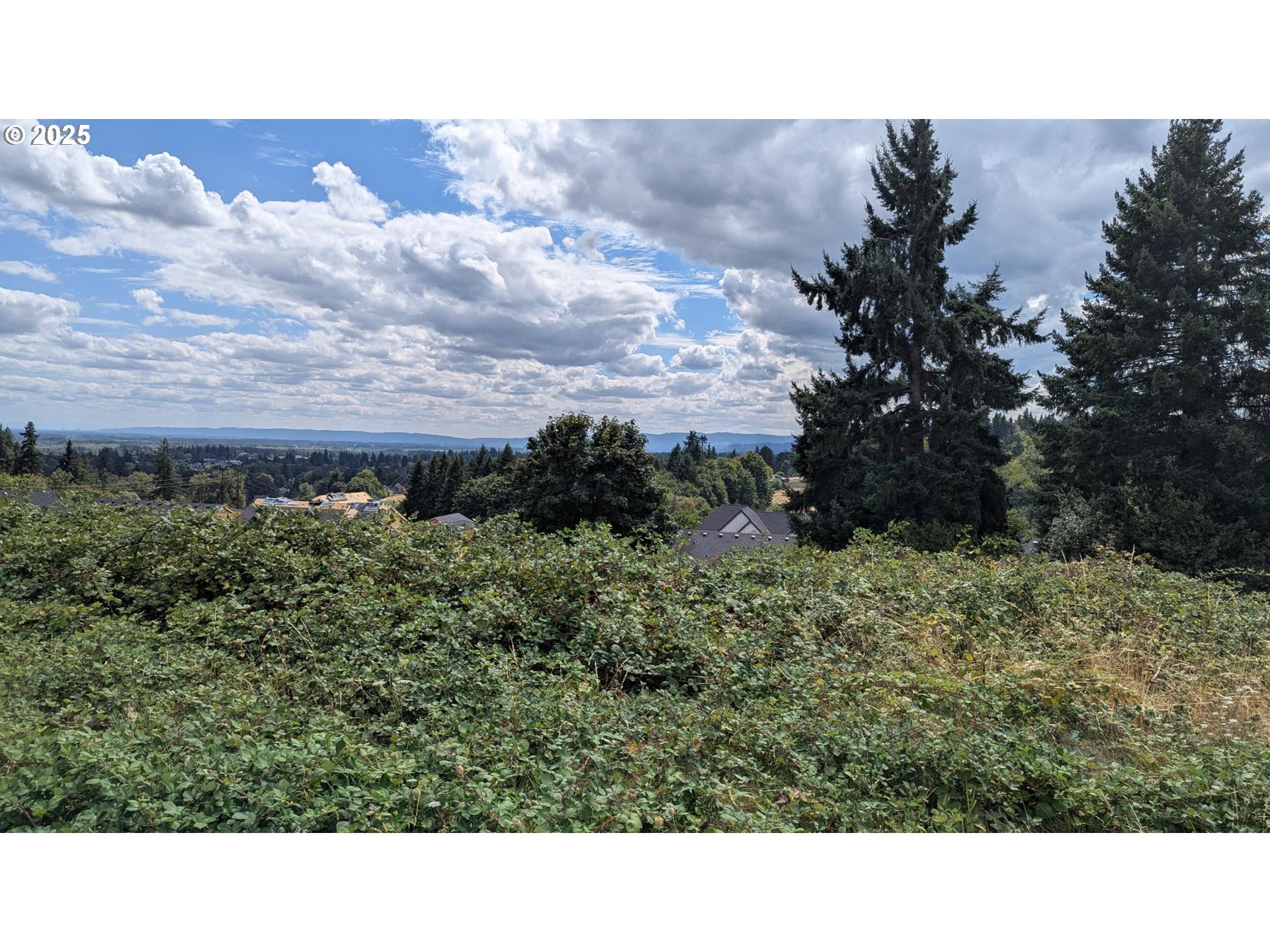 a black and white photo of a house