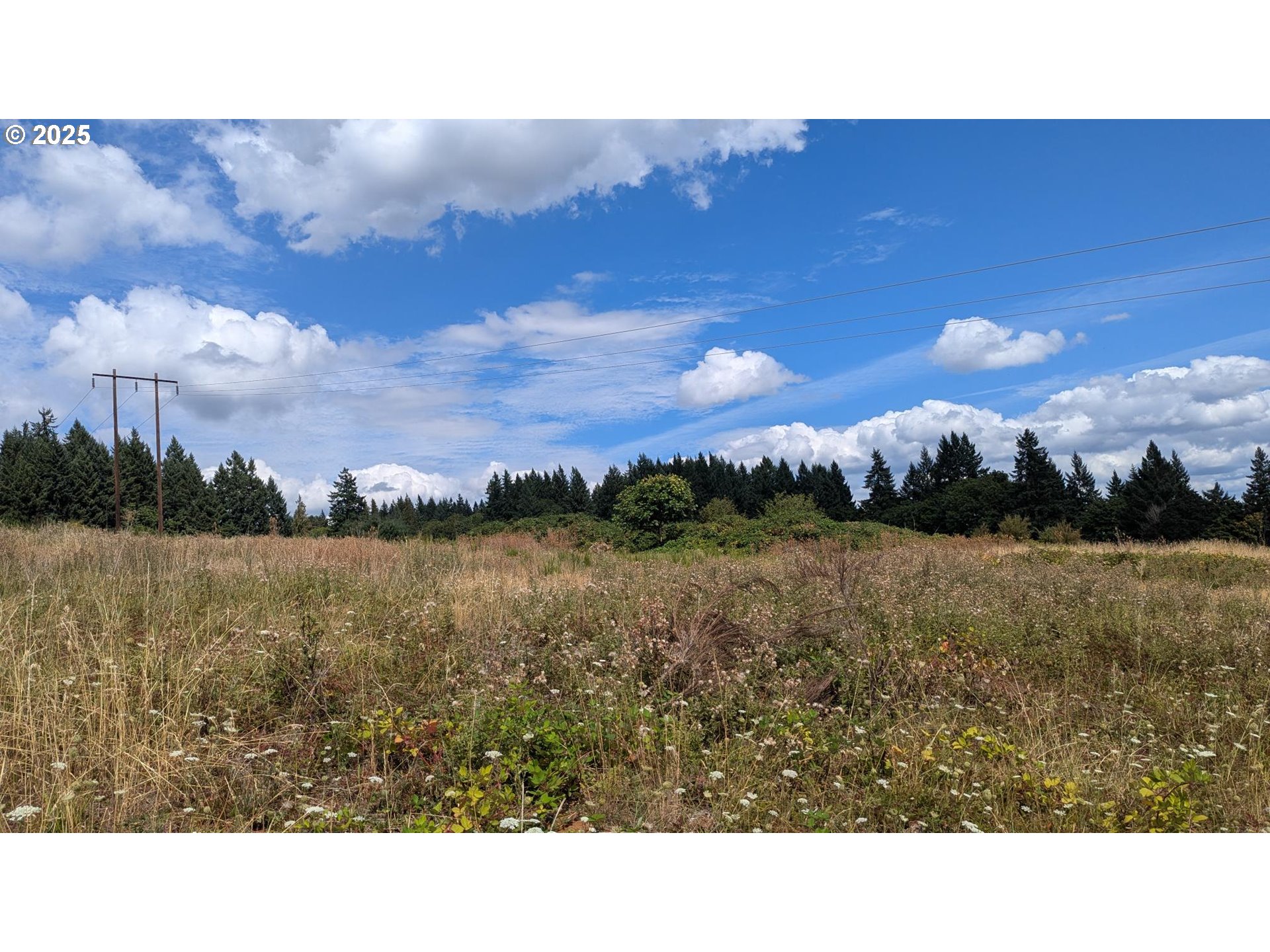 Kestrel View Drive St. Helens, OR 97051 - Photo 2 of 8 a black and white photo of a lake