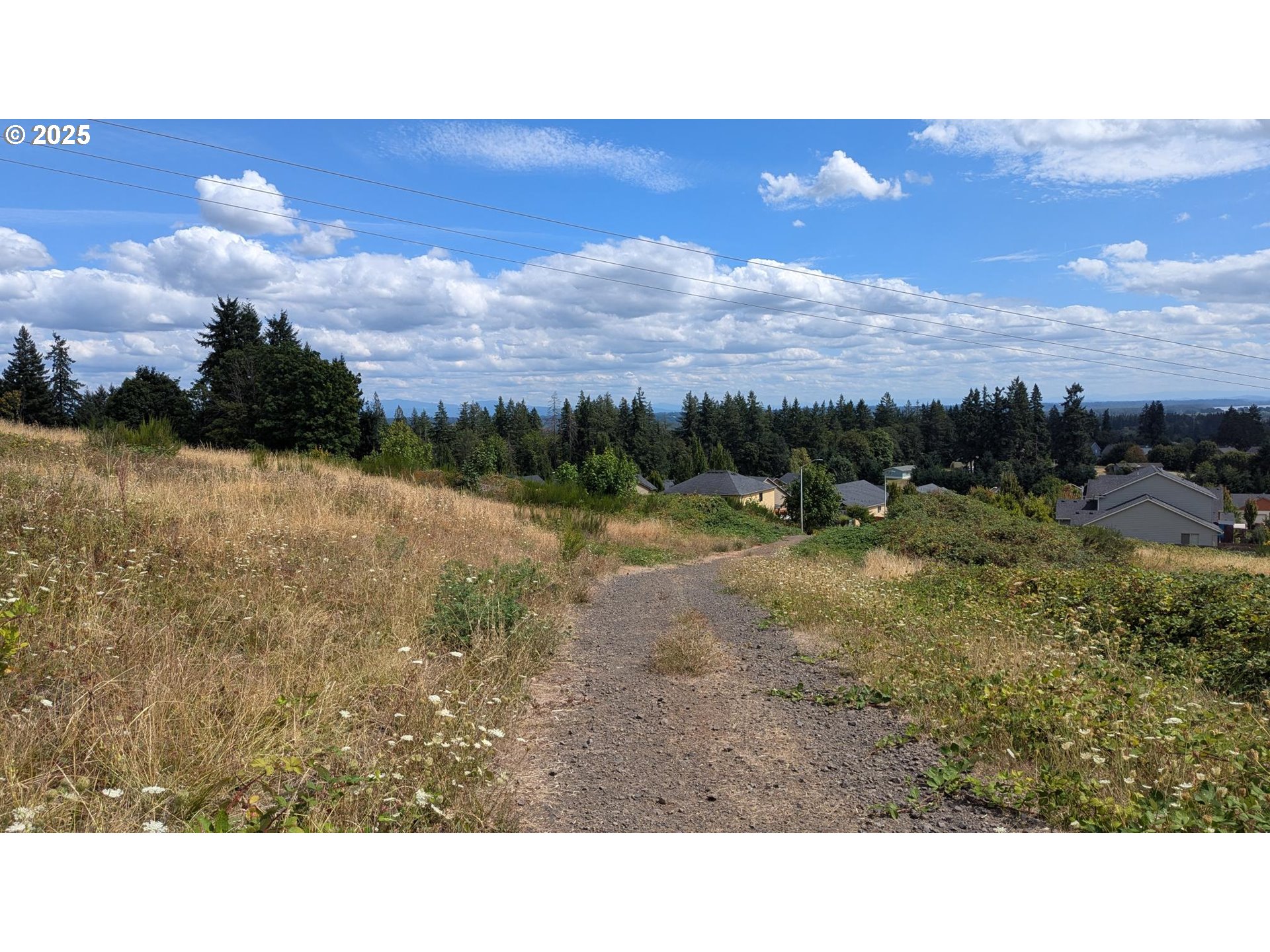 Kestrel View Drive St. Helens, OR 97051 - Photo 8 of 8 a view of a city