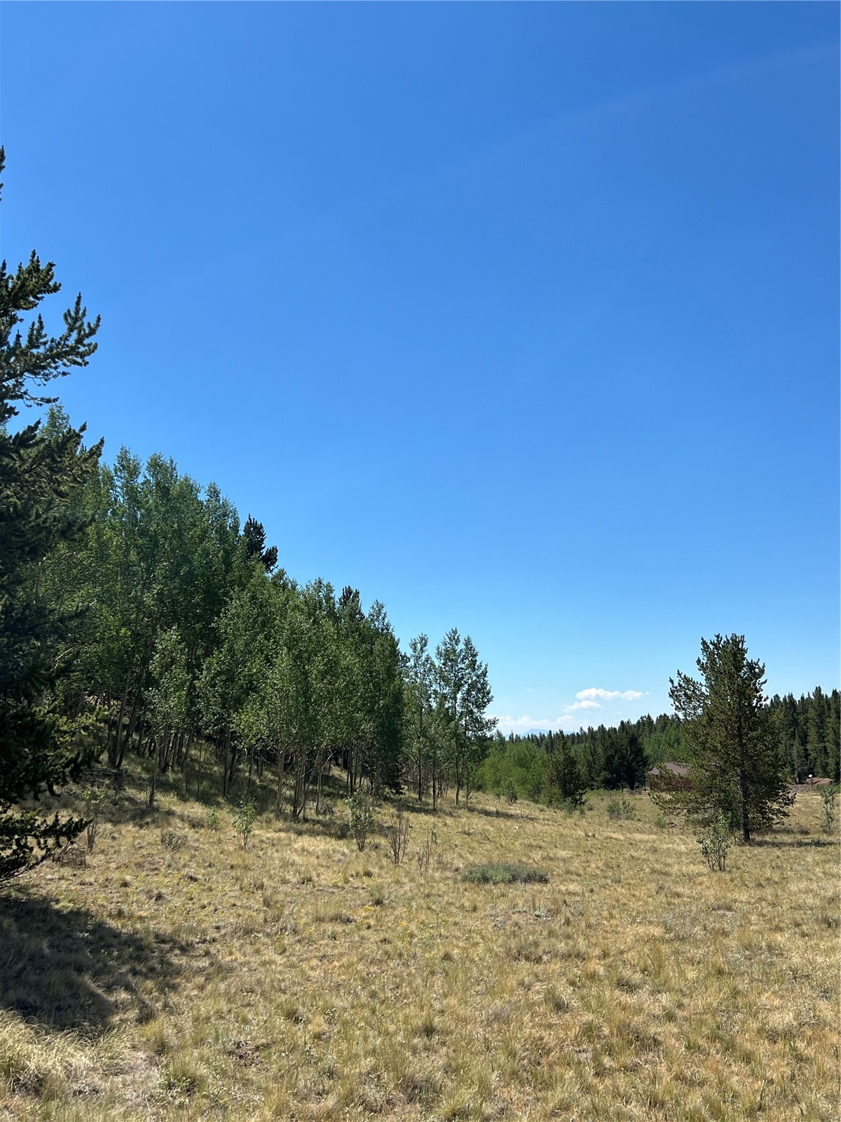 152 Co Road Fairplay, CO 80440 - Photo 14 of 20